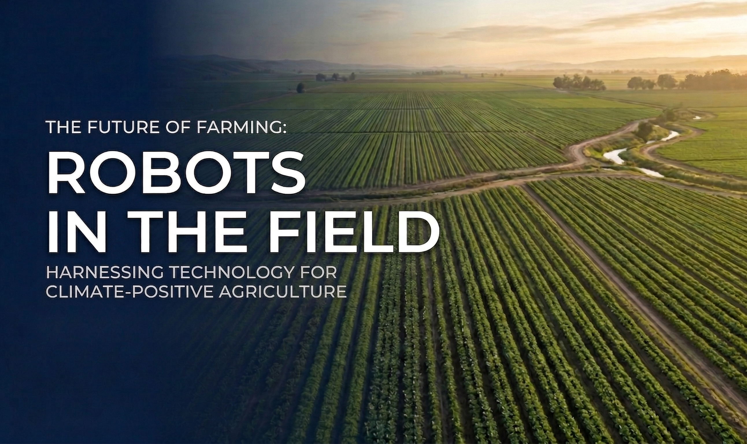 Robots in Agriculture